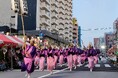 大塚の夏の風物詩「第52回東京大塚阿波おどり」を開催します！