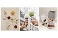 DOLCE TACUBOの新店舗、銀座に2026年6月18日（木）OPEN