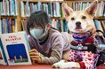 本を読む時間が自信になる、犬と過ごす空間が心をほどく――