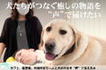 癒されたのは、犬も人も。