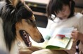 本を読むのは“わたし”と“わんこ”！公立図書館で「読書犬体験会」開催
