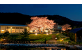 若狭湾の景勝地”三方五湖”がきらめく夜に―「宵の桜プロジェクトin三方五湖」初開催!
