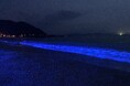10/17（土）～19（月）NIGHT WAVE光の波プロジェクトin水晶浜で五感を呼び覚ますマインドフルネス体験、若狭みはまの秋夜に溶け込む、光と波の幻想世界へ