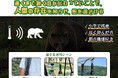 日本でクマ被害なぜ増加？熊よけ鈴の効果は？