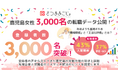 さつまおごじょ、鹿児島女性3,000名の転職データ公開！年収だけではない「職場環境」と「正当な評価」とは？