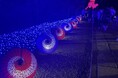 【埼玉・武蔵一宮氷川神社】和傘110本とLED2.5万個で光の回廊 国内外で反響の3日間