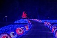 【埼玉・氷川神社】7/4(土)～7(火)地域の伝統文化を"体験"する、光が灯る七夕イベント「和傘の杜～彩の七夕2026～」開催