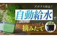 【クラウドファンディング開始】家庭菜園をもっと簡単に楽しく!自動潅水システム搭載のプランター「HERBS BUDDY」日本初上陸プロジェクト!