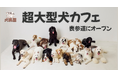 世界初!超大型犬専門カフェ「犬席屋」10月表参道オープン