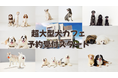 18匹の超大型犬に会える!世界最大級の犬カフェ「犬席屋」予約受付開始!