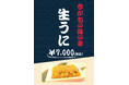 【サフィールホテル稚内】館内レストランで旬の“生うに”提供開始―― ディナー限定で味わう贅沢な海の幸、6月1日より登場