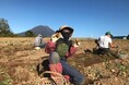 遊んで、味わう。秋のニセコを満喫！大自然のアクティビティと旬の味覚を楽しむ秋旅