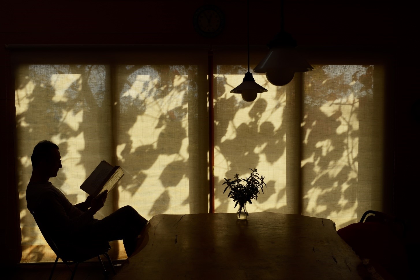 The Gallery 企画展今森光彦写真展 オーレリアンの庭 を開催 ニコンijのプレスリリース