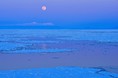 THE GALLERYセレクション展二神慎之介写真展「『羅臼』 -漁師の海、ヒグマの山-」 を開催