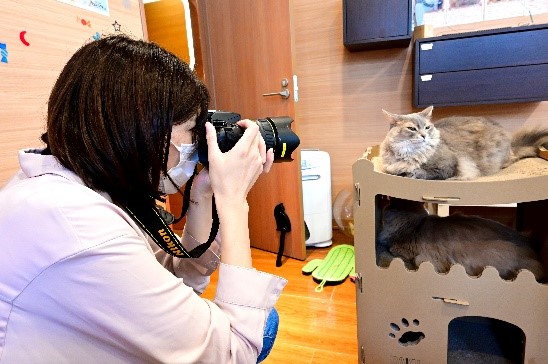 BeKi ݂͐V^RiECXǗ\ĥ߃}XNpł̂QƂȂ܂B