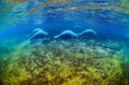 THE GALLERYセレクション展　高橋 怜子　写真展　「Buen viaje! ～良い旅を～」 を開催