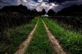 THE GALLERYセレクション展 西村 仁見 写真展 「Kトラ物語 K-TRUCK DREAMY」 を開催