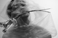 THE GALLERY企画展 古屋 呂敏 写真展 「MY FOCAL LENGTH」を開催