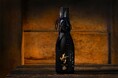 江戸末期創業の酒蔵が、技術の粋を結集した“たったひとつ”の祝い酒。9月3日から大阪髙島屋で店頭販売が決定!