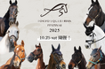 開催まであと4日！【Tokyo Equestrian Festival 2025】 あの名馬たちが東京の舞台へ！！