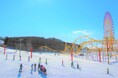 -白銀のワンダーランド、開幕- 北海道グリーンランドホワイトパーク岩見沢 12月中旬よりオープン