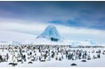 コウテイペンギンとの出会いを求めて航く南極クルーズ