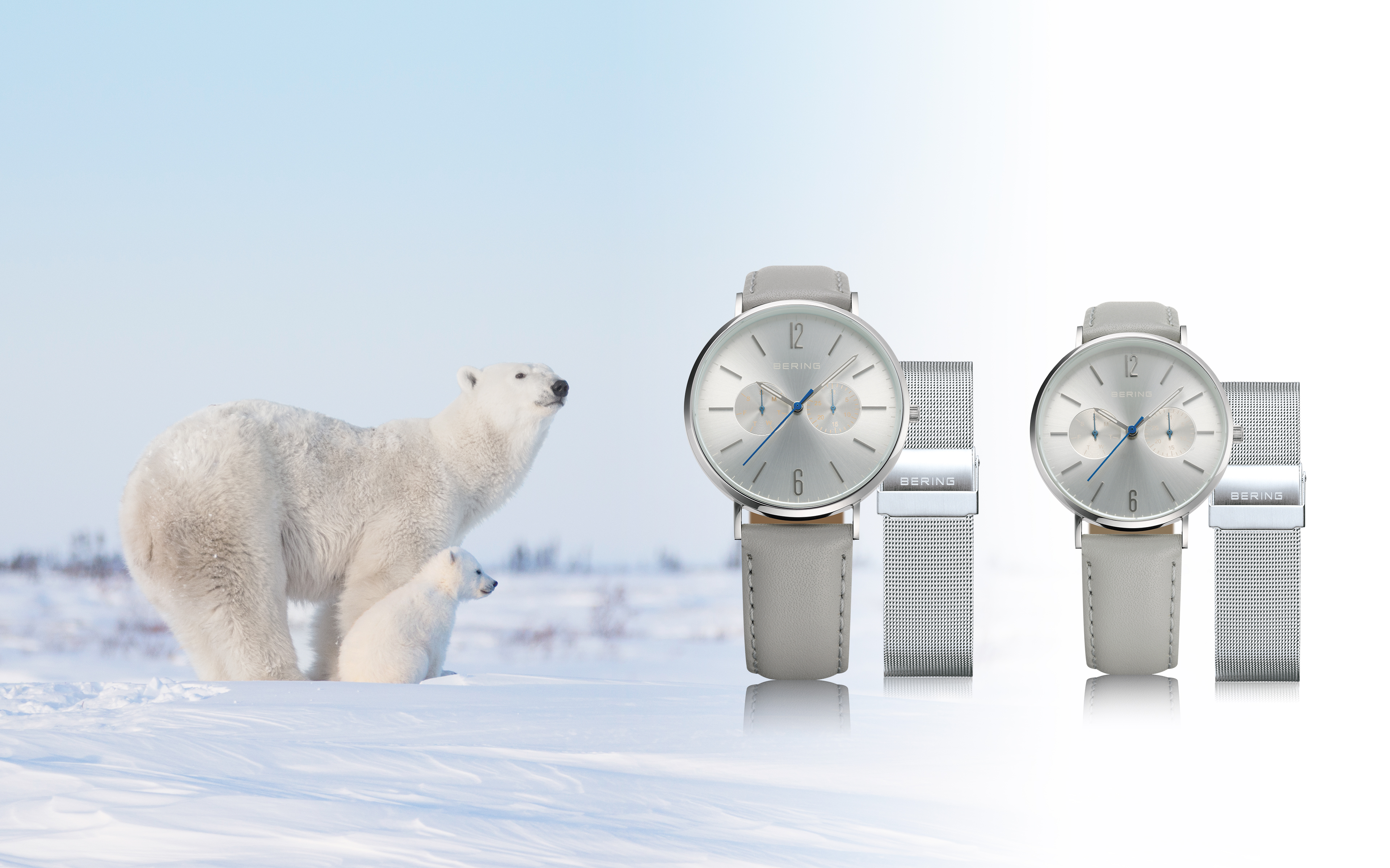 2月27日の国際ホッキョクグマ の日を記念して 北欧デンマーク腕時計ブランドberingは シロクマを救うチャリティーウォッチを発売します アイ ネクストジーイー株式会社のプレスリリース
