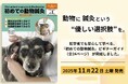 動物に優しい鍼灸を学ぶ、初学者向けの実践ガイド『SUNアニマルACU 鍼灸ビギナーガイド』完成！