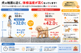 酷暑・猛暑で増える犬の熱中症。製造現場を中心に累計6万枚販売の熱中症対策シールを犬にも