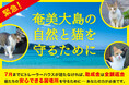 世界自然遺産・奄美大島で猫と自然の共存を実現するための保護拠点設置プロジェクト ー 大型トレーラーハウス設置計画 クラウドファンディング第2弾スタート