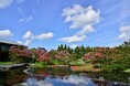 「GREEN×EXPO 2027」ってなんだろう？Vol.4 「平成から令和へ、日本庭園の魅力と未来 ～京都・朱雀の庭と「令和日本の庭」をめぐる対話～」