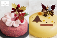 【BEYOND SWEETS】全メニュー小麦・白砂糖不使用のクリスマスケーキ　今年は「ベリーガトーショコラ」「バニーユ」が初登場！「BEYOND SWEETS クリスマス2026」のご案内