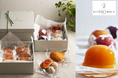 【BEYOND SWEETS】小麦・白砂糖不使用のパティスリー 〈夏季限定〉グルテンフリーお中元ギフト「HISUI」果実のプラントベースジュレ「YUMMY＋」を新発売