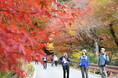 紅葉彩る”湯の山温泉”で地域の食と自然を体感「たべる」「めぐる」ONSEN・ガストロノミーウォーキング開催(参加申込受付中)