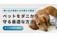 【500人に調査】ペットの約15%がダニに寄生された経験あり!飼い主が実践する予防・対策方法について紹介