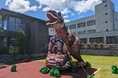 4年ぶりの「涼しい6月」で梅雨明けの熱中症リスク増大。暑熱順化の遅れに対応し『ミストバルーン®︎』のレンタル在庫を大幅強化