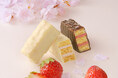 春の訪れを告げる、さくらといちごの季節限定スイーツ「さくらスプリング」発売