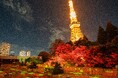 一面に広がる紅葉REDな世界と芸術の秋を料理で嗜む「TOKYO RED TERRACE」東京プリンスホテル