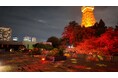 紅葉に染まるテラスで秋の美しい彩りの変化を体感する「TOKYO RED TERRACE」【東京プリンスホテル】