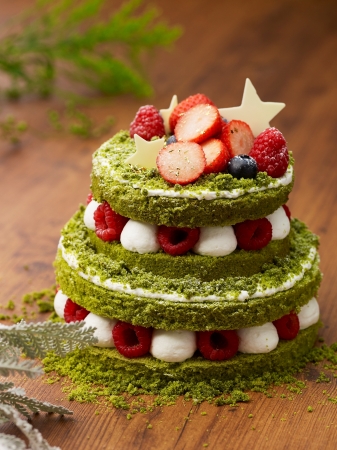 クリスマスツリーのようなネイキッドケーキ「ETOILE NOEL -Matcha Naked cake- 」