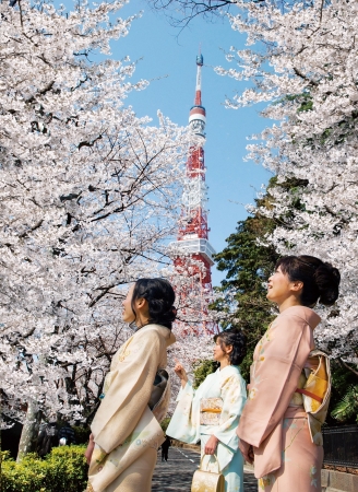 ザ・プリンス パークタワー東京】桜の時期に訪れる外国人のお客さま