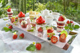 【リーガロイヤルホテル（大阪）】期間限定ティーセット「Dessert&Tea ”Strawberry Garden”」