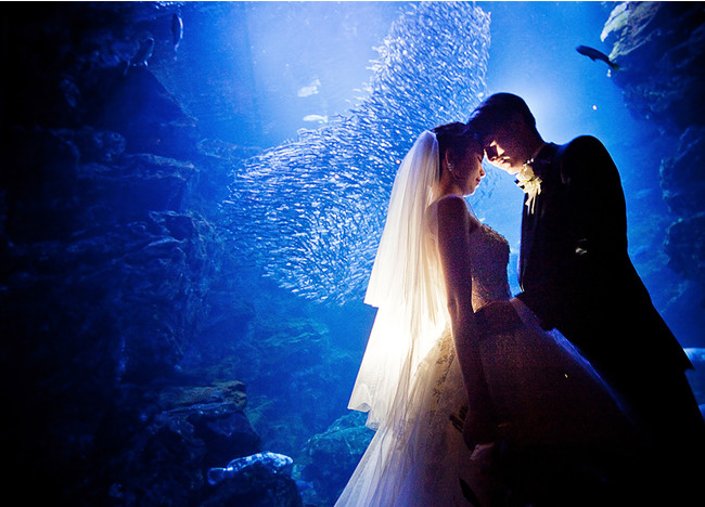 リーガロイヤルホテル京都　京都水族館 挙式プラン「Night Aquarium Wedding～夜の水族館で愛を誓う～」