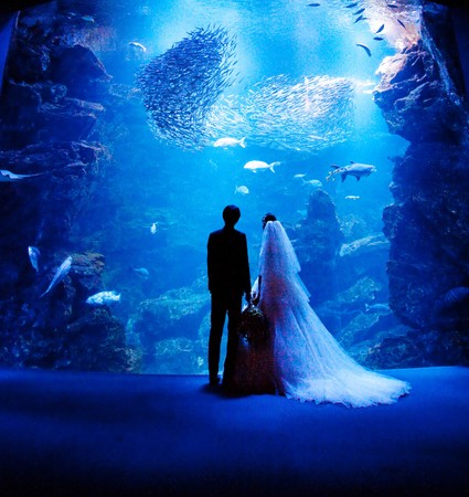 リーガロイヤルホテル京都　京都水族館 挙式プラン「Night Aquarium Wedding～夜の水族館で愛を誓う～」