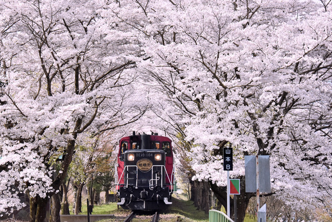 「嵯峨野トロッコ列車」イメージ