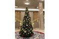 【リーガロイヤルホテル広島】サステナブルなクリスマス装飾やサンタクロースに会えるイベントを開催!『クリスマス館内装飾とイベントを実施』