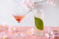 【リーガロイヤルホテル大阪】春のひとときを桜色に彩る 期間限定「桜カクテル」を販売