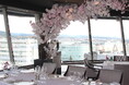 【リーガロイヤルホテル京都】春をもっと身近に、ホテル館内で叶う“お花見気分”『春の訪れを感じる桜の装飾を実施中』