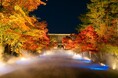 【リーガロイヤルホテル京都】仁和寺 「紅葉雲海ライトアップ」 拝観付ステイプラン 販売