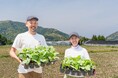 糸島まこと商店 「糸島産 ムクナ茶」がクラウドファンディングを実施!